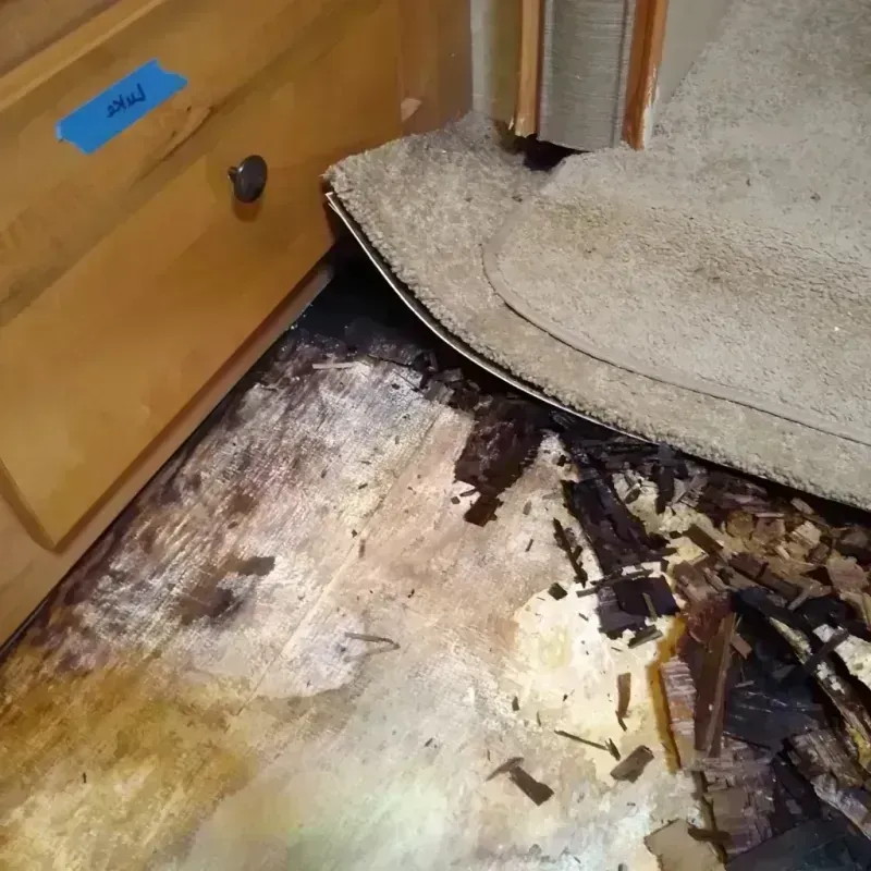 Wood Floor Water Damage in Danvers, IL